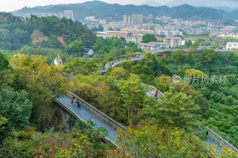 福州福道山林中蜿蜒的观景步道