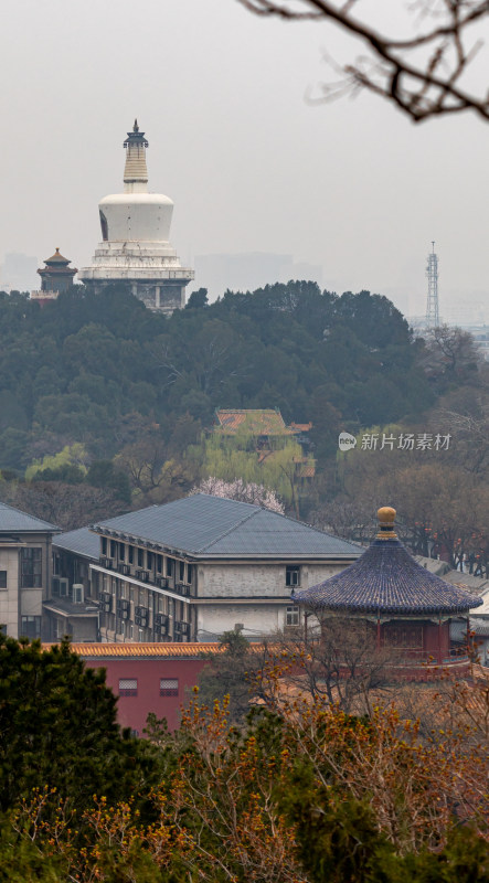 北京景山公园看白塔