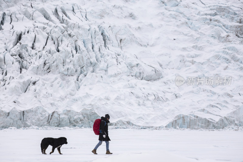 人携犬在冰川雪地行走