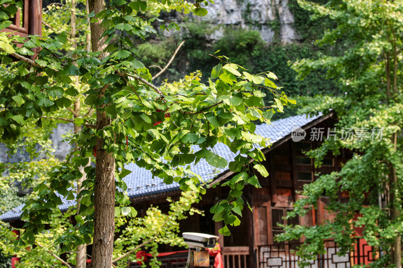 宜昌车溪民俗旅游区国家级土家族特色景区