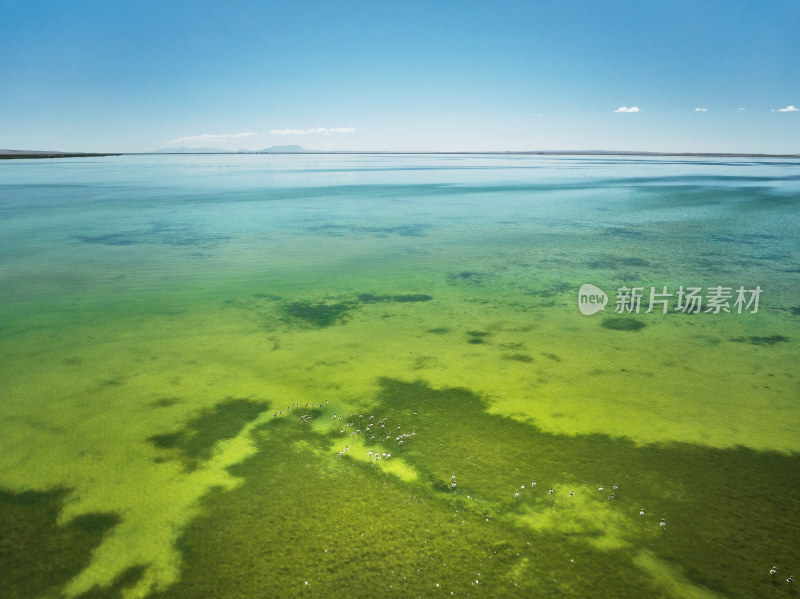 甘肃可鲁克湖的风光美景