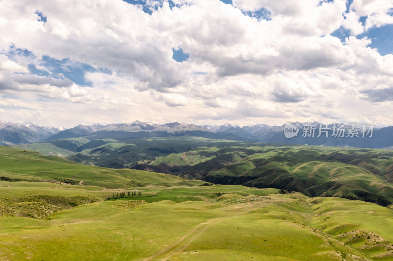 中国新疆伊犁喀拉峻大草原自然风景