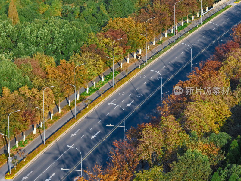 航拍道路上的秋冬景观