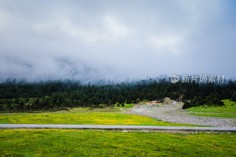 川西格聂草原自然风景