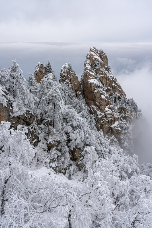 寒冷冬季大雪冰冻雾凇