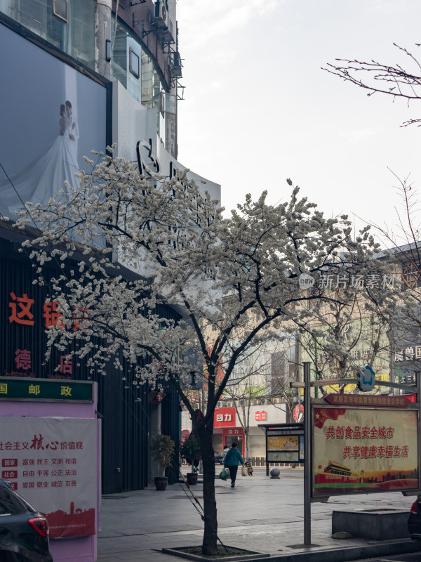 2024春季高山街街景