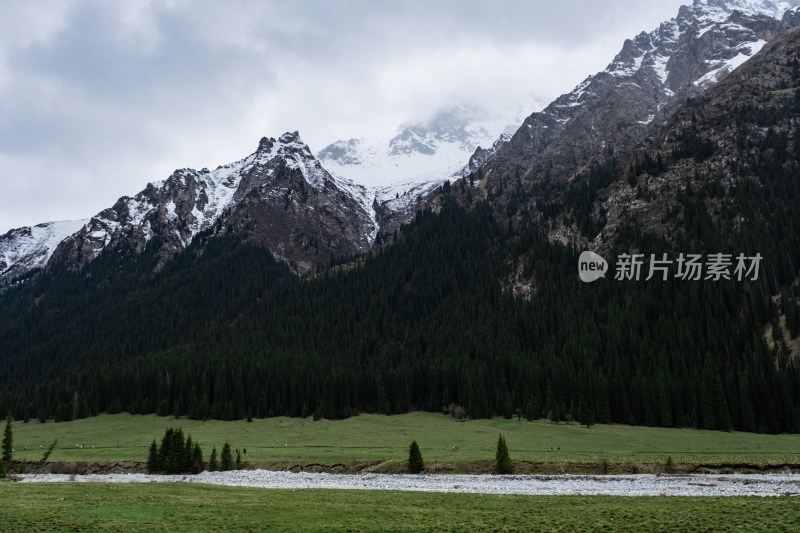 新疆伊犁夏塔雪山森林草原河流绝美风光