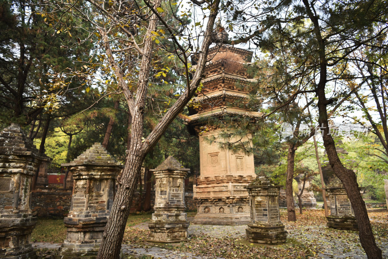 古刹塔林秋色 北京潭柘寺塔林