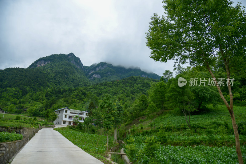 山间田园水泥路风景