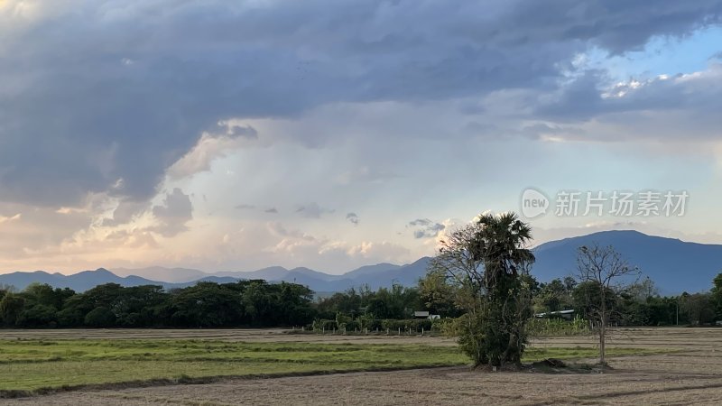 田野山林与多云天空风景