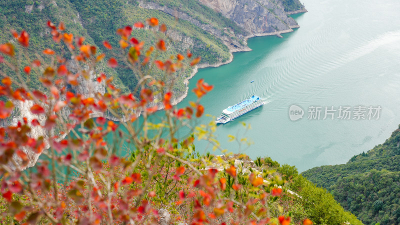 长江三峡巫峡红叶