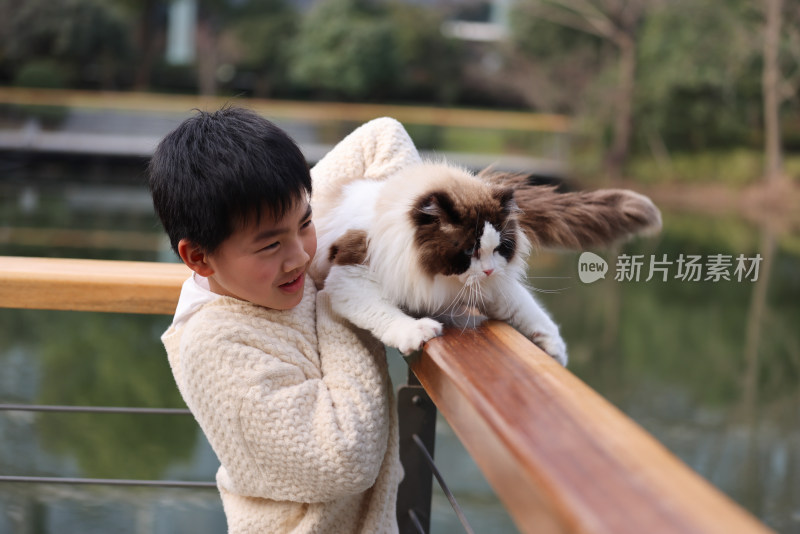 小男孩与栏杆上的宠物猫互动的温馨场景