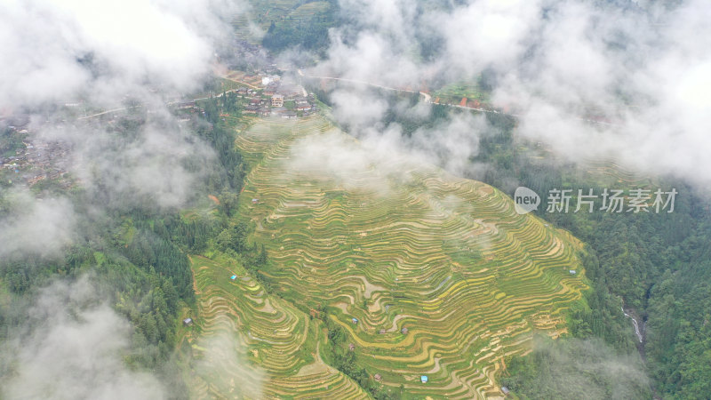 黔东南梯田航拍贵州风光加榜梯田原生态地