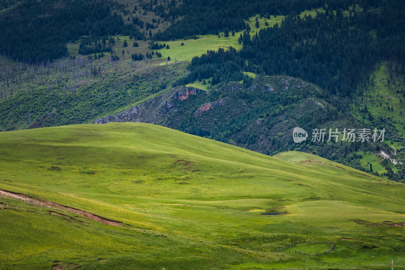 阳光下山谷草原连绵起伏的绿色山川