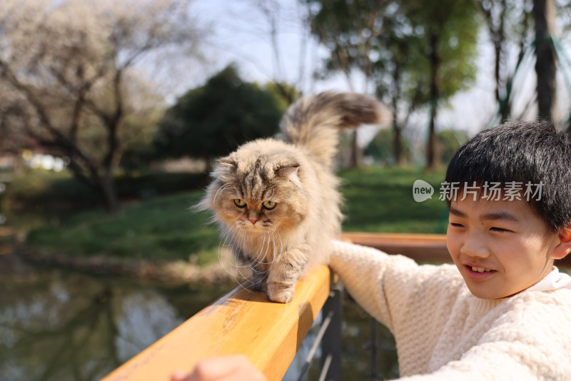 小男孩与栏杆上的宠物猫互动的温馨场景