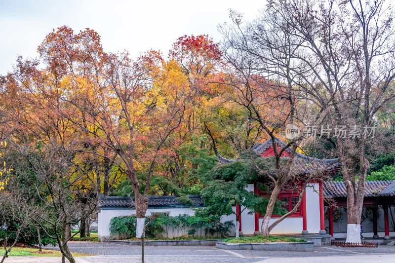 南京钟山风景名胜区明孝陵中的建筑风景