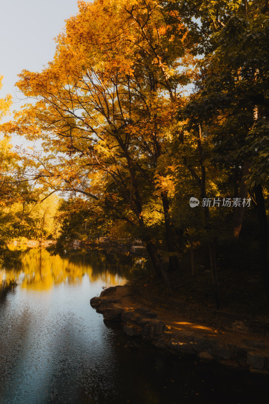 颐和园后湖的秋天