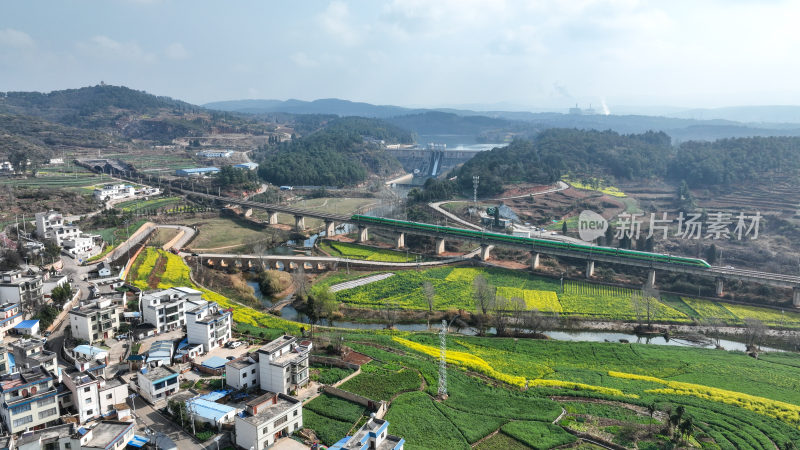 油菜花绘就田园美景