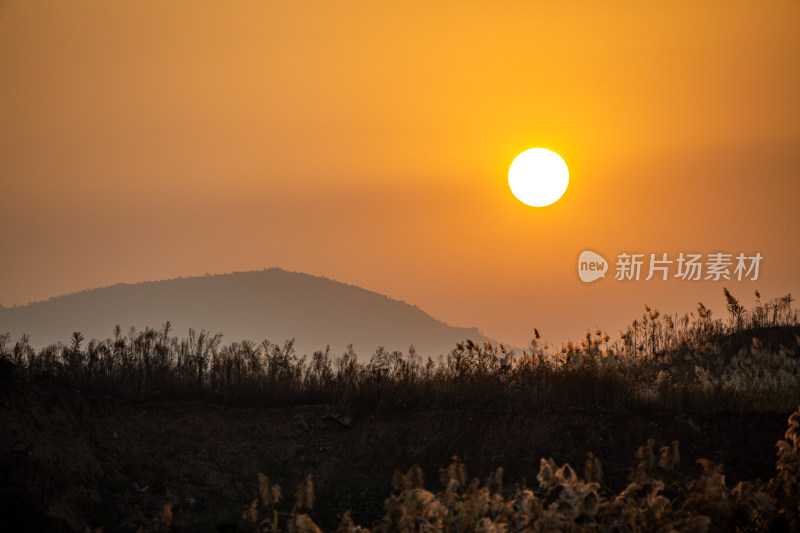 日落时分远山与植物景观