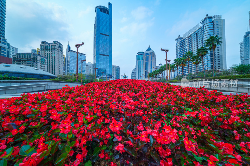 南宁金湖广场鲜花与CBD摩天大楼地标建筑