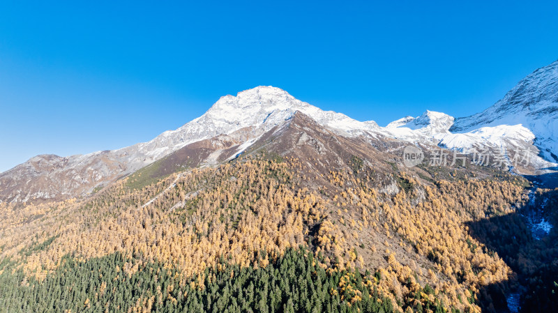 四川阿坝理小路的山区秋日风景