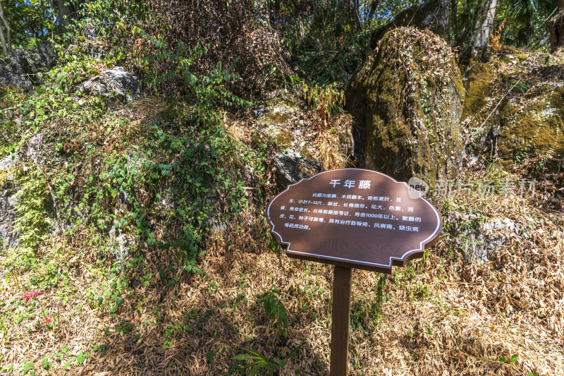 武汉江夏区白云洞景区风景