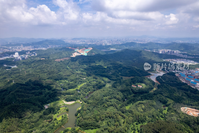 深圳龙华区茜坑水库