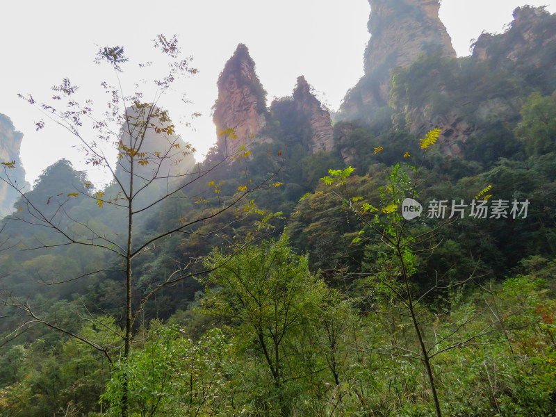 湖南张家界武陵源国家森林公园旅游风光