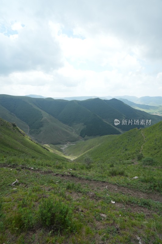 麻田岭夏季风光