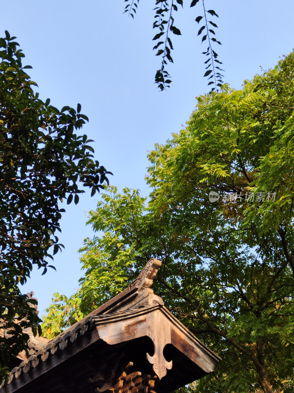 古建筑屋檐与绿植蓝天