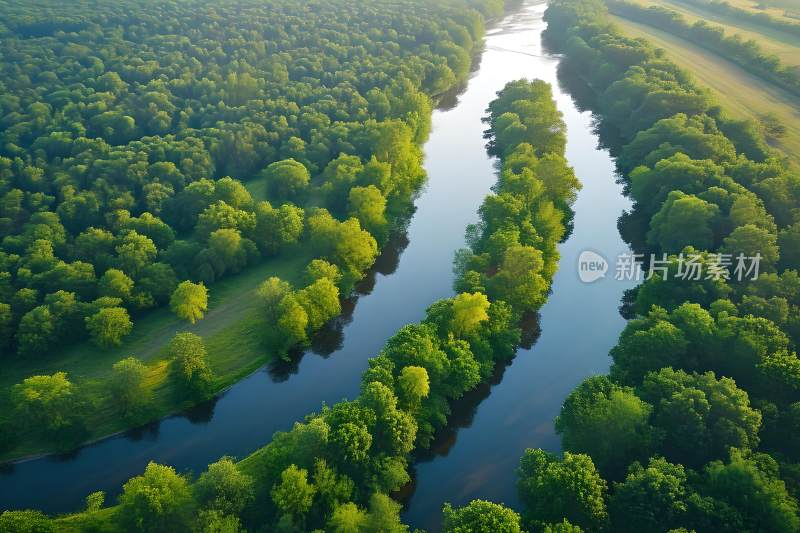 生态背景早晨河流树木