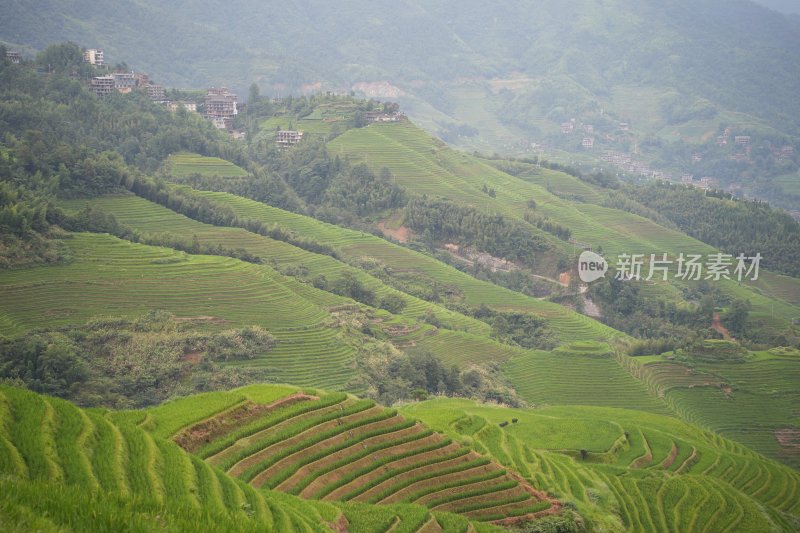 桂林龙胜、漓江