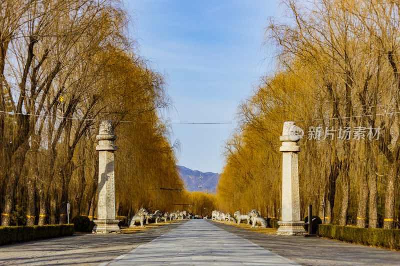 北京昌平区十三陵神道景区神路