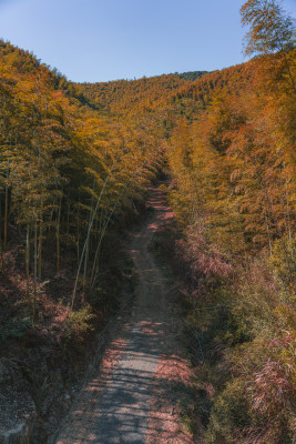 秋天上山小路道路爬山登山