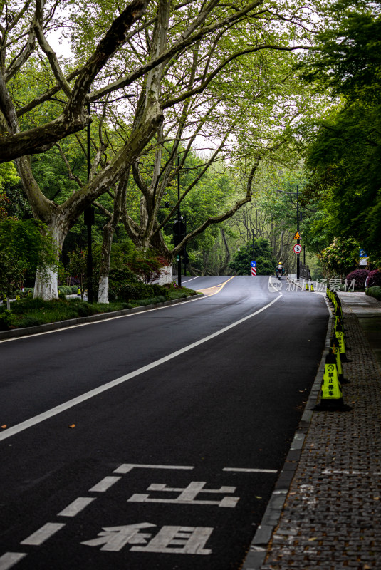 杭州西湖杨公堤道路春色景观