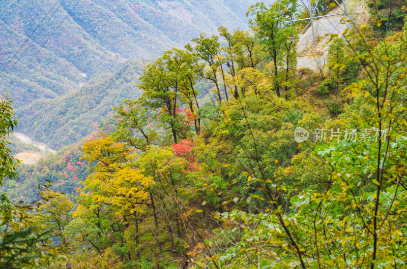 河南省洛阳白云山九龙潭秋天风景