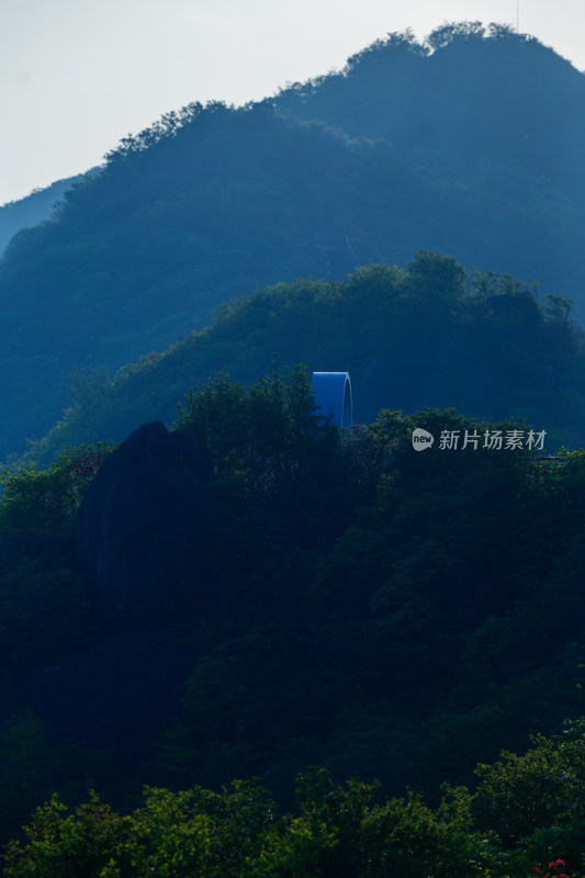 长沙市浏阳大围山杜鹃花海风光