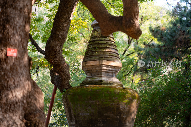 潭柘寺塔林