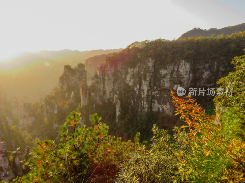 中国湖南张家界国家森林公园旅游风光