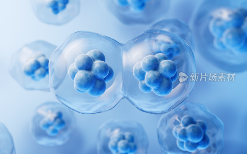 细胞与生物科技概念3D渲染