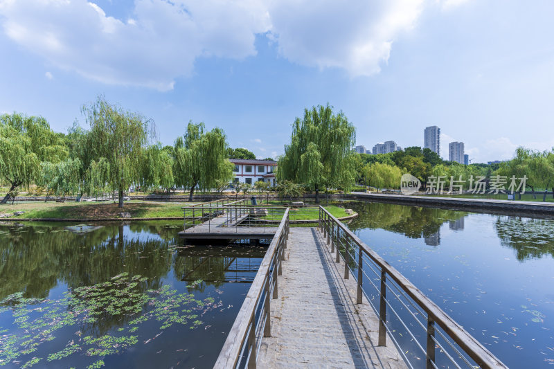 武汉蔡甸汤湖公园生态园林风景