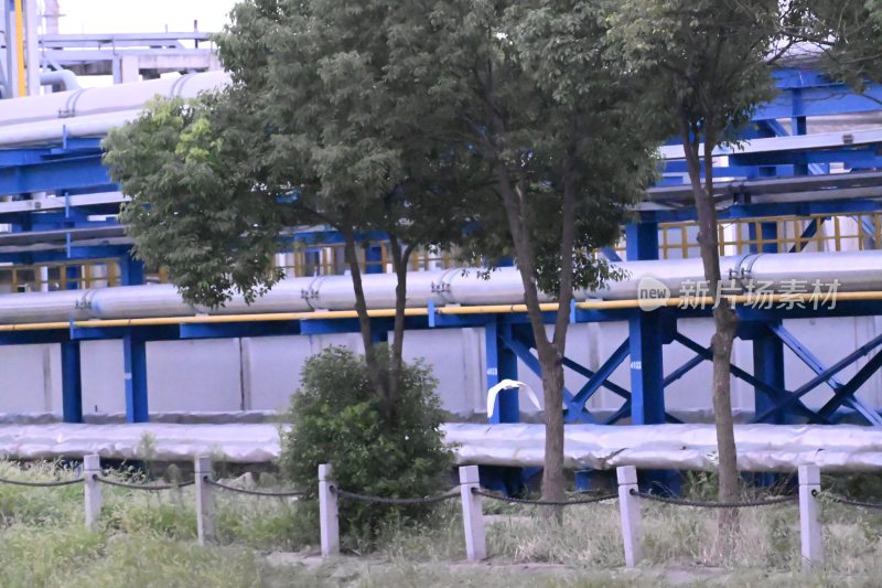 工业工厂管道设施场景