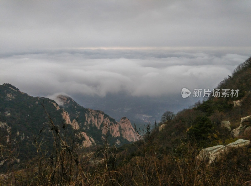 云海 山峰 山峦 清晨 泰山 唯美 秋色 秋天