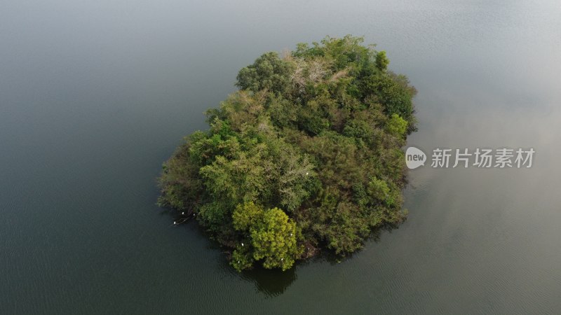 广东东莞：契爷石水库湿地公园