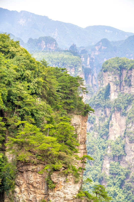 中国湖南张家界景区奇特山峰与茂密森林