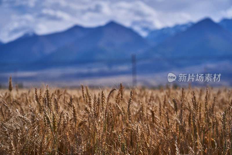 哈密天山秋色风光