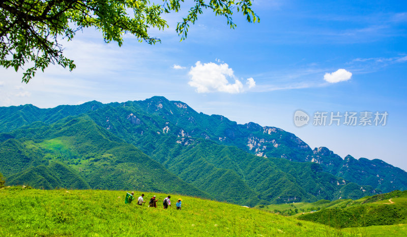 自然风光青山绿水山水风光