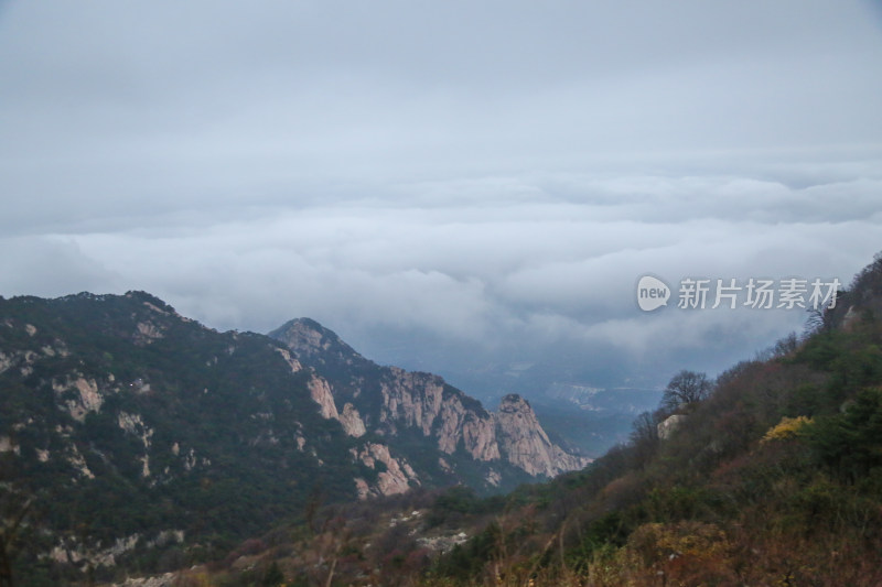 云海 山峰 山峦 清晨 泰山 壮观