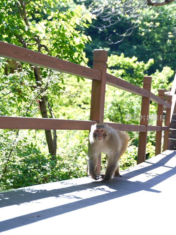 山西阳城 蟒河