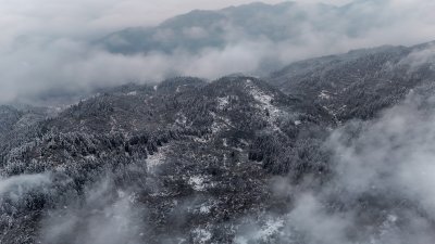 重庆酉阳：大雪纷飞赏雪忙